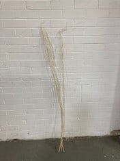 58 X STONE THE CROWS BLEACHED SALIX [3] - HGT 150CM - TOTAL RRP £174