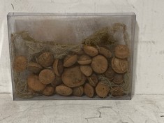 60 X STONE THE CROWS BOX OF ACORN FRUITS - LNG 27CM - TOTAL RRP £600