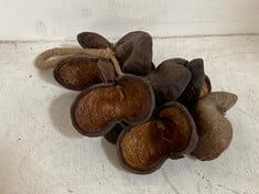 35 X STONE THE CROWS SEEDS OF WILD ALMOND TREE - TOTAL RRP £455