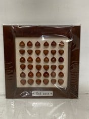 24 X STONE THE CROWS OAK NUTS IN FRAME - SQ 23CM - TOTAL RRP £720