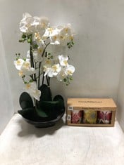 JOHN LEWIS ARTIFICIAL WHITE ORCHID IN BLACK POT TO INCLUDE EMMA BRIDGEWATER FLOWERS STORAGE CADDIES SET OF 3