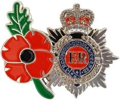 QUANTITY OF  POPPY BADGES AND PINS REMEMBRANCE DAY RED POPPY DAY QUEEN ELIZABETH SILVER COLOR - TOTAL RRP £224: LOCATION - C RACK