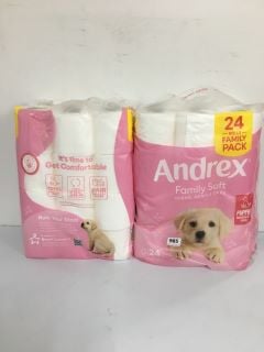 2 X ANDREX FAMILY PACK 24 ROLLS TOILET TISSUE