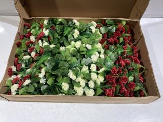 MINI CARNATION BUSH ASSORTED COLOURS