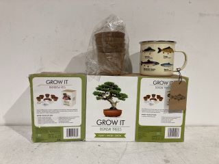 BOX OF ASSORTED ITEMS TO INCLUDE MINI INDOOR ALLOTMENT GROW KIT