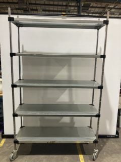 STAINLESS STEEL FOUR WHEELED FIVE HIGH SHELVES UNIT