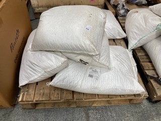 PALLET OF EXTRA SELECT WILD BIRD PEANUTS: LOCATION - B5 (KERBSIDE PALLET DELIVERY)