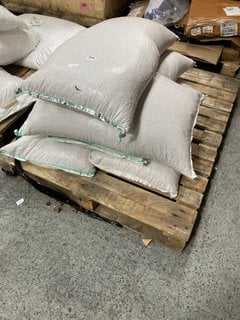 PALLET OF EXTRA SELECT WILD BIRD PEANUTS: LOCATION - B5 (KERBSIDE PALLET DELIVERY)