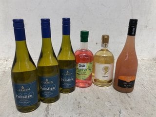 6 X ASSORTED ALCOHOLIC BEVERAGES TO INCLUDE HORTUS WATERMELON AND APPLE GIN 700ML 37.5% ALC VOL (WE OPERATE A CHALLENGE 25 POLICY. 18+ ID MAY BE REQUIRED UPON COLLECTION/DELIVERY, E.G. A VALID PASSPO