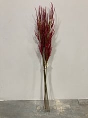 192 X STONE THE CROWS MAUVE SPIDER ORCHID - HEIGHT 119CM - TOTAL RRP £1152