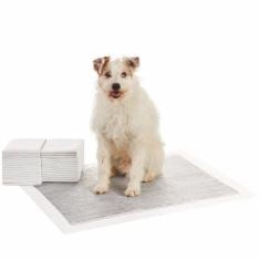 9 X BASICS CARBON ODOUR-CONTROL DOG AND PUPPY TRAINING PADS, LEAKPROOF WITH QUICK-DRY SURFACE, X-LARGE, PACK OF 30, GREY.