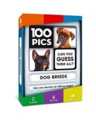 X29 ASSORTED TOYS AND GAMES TO INCLUDE 100 PICS DOG BREEDS TRAVEL GAME - FAMILY FLASH CARDS, POCKET PUZZLES FOR KIDS AND ADULTS.