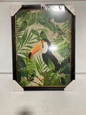 JOHN LEWIS ANDREA HAASE JUNGLE TOUCAN HF FRAMED PRINT RRP- £105