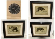 2 X BROOKPACE LASCELLES FRAMED PRINTS 46X55CM 1 X ELEPHANT, 1 X HIPPOPOTAMUS