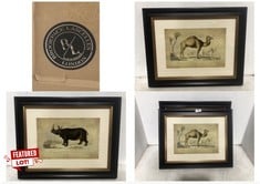 2 X BROOKPACE LASCELLES FRAMED PRINTS 46X55CM 1 X RHINOCEROUS, 1 X CAMEL