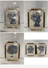 JOHN LEWIS MELISSA WANG SEA CORAL STUDY FRAMED PRINTS SET OF 4 RRP- £160