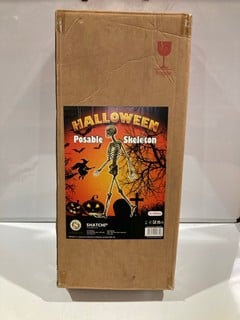 HALLOWEEN POSABLE SKELETON