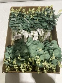 1 X BOX OF EUCALYPTUS STEM IN GREEN