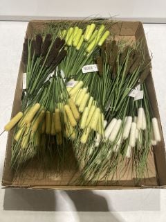 1 X BOX OF BULLRUSH BUSH ASSORTED COLOURS