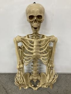 LIFE-SIZE SPOOKY SKELETON