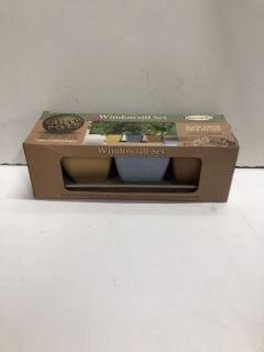 BOX OF ITEMS TO INC EARTH POTS