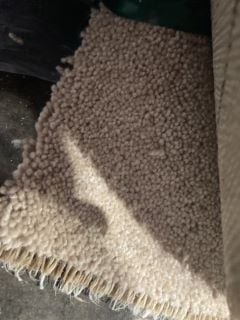 SAND DOLLAR RAGGED EDGE TEXTURES SOFT FIBRE CARPET (5M)