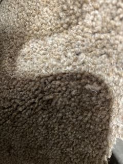 BROWN RAGGEDY TEXTURED MEDIUM FIBRE CARPET (4M)