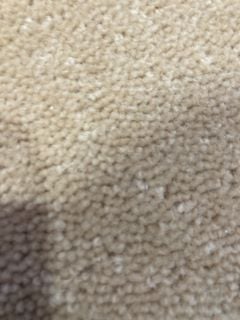 OFF WHITE TEXTURED SOFT FIBRE CARPET (5M)