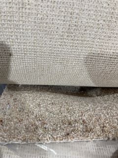 SAND DOLLAR TEXTURED MEDIUM FIBRE CARPET (5M)