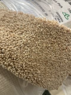 SAND DOLLAR TEXTURES SOFT FIBRE CARPET (4M)