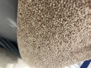 SAND DOLLAR TEXTURED SOFT FIBRE CARPET (4M)