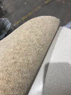 OFF WHITE TEXTURED SOFT FIBRE CARPET (4.6M)