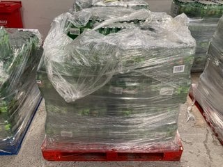 PALLET OF MOUNTAIN DEW CITRUS BLAST DRINK BBE: NOV 24: LOCATION - A1 (KERBSIDE PALLET DELIVERY)