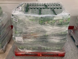 PALLET OF MOUNTAIN DEW CITRUS BLAST DRINK BBE: NOV 24: LOCATION - A1 (KERBSIDE PALLET DELIVERY)