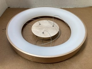 JOHN LEWIS & PARTNERS RADIANCE LED HOOP CEILING LIGHT: LOCATION - CR7