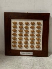 24 X STONE THE CROWS PANGE - OM NUTS IN FRAME - SQ 23CM - TOTAL RRP £720