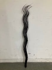 40 X STONE THE CROWS LARGE BLACK CURLY WILLOW [40] - HGT 150CM - TOTAL RRP £240