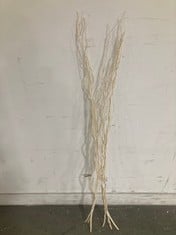 58 X STONE THE CROWS BLEACHED SALIX [3] - HGT 150CM - TOTAL RRP £174