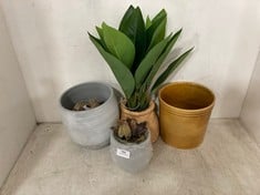 4 X ASSORTED ITEMS TO INCLUDE ARTIFICIAL BANANA LEAF PLANT IN CERAMIC BASKET