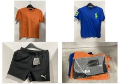 3 X ASSORTED ADULT BRANDED CLOTHING TO INCLUDE RALPH LAUREN T-SHIRT BLUE WITH LIME GREEN LOGO SIZE SM