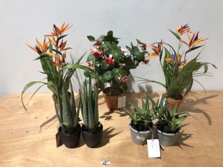 7 X ASSORTED ARTIFICAL PLANTS TO INCLUDE SUCCULENTS AND BIRD OF PARADISE