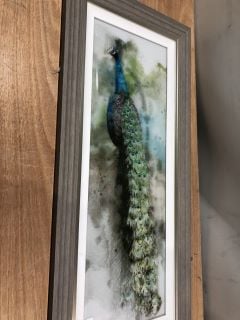 TYRONE QUALITY PEACOCK PRINT IN ASH WOOD FRAME RRP :£168.00