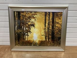 BRIGHT SUN FOREST LIQUID WALL ART IN FRAME