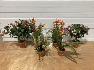 6 X ARTIFICAL PLANTS TO INCLUDE BIRD OF PARADISE AND FUCHSIA BUSH