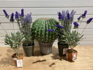 ASSORTED ARTIFICAL PLANTS TO INCLUDE LAVENDER AND LARGE BALL CACTUS