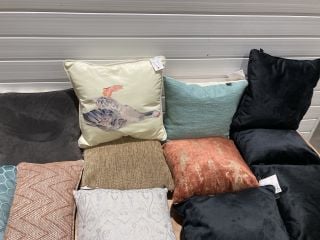 12 X ASSORTED CUSHIONS TO INCLUDE FLINT BOLSTER CUSHION AND MINISTER GUFTWARE GOOSE CUSHION