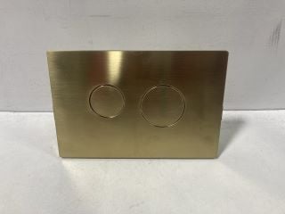 BRUSHED BRASS WALL MOUNTED DUAL FLUSH PLATE: LOCATION - RACKING 2