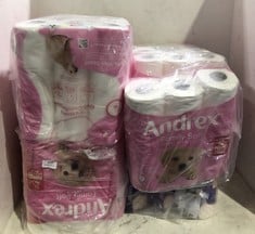 4 X ASSORTED TOILET ROLLS TO INCLUDE ANDREX FAMILY SOFT CLEAN GENTLE CARE 5 X 9 TOILET ROLLS