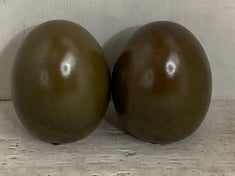 18 X STONE THE CROWS SMALL EGG - RUSSET - TOTAL RRP £90