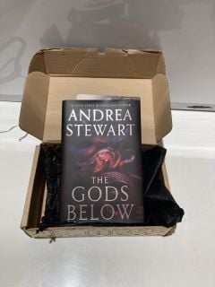 1 X BOX OF ADULT ITEMS TO INCLUDE ANDREA STEWART THE GODS BELOW 18+ ID MAY BE REQUIRED